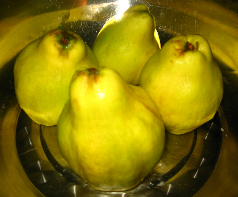 Dulceata de gutui